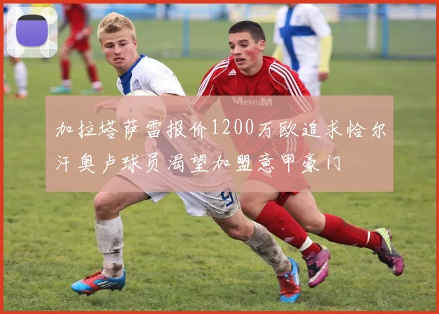 加拉塔萨雷报价1200万欧追求恰尔汗奥卢球员渴望加盟意甲豪门