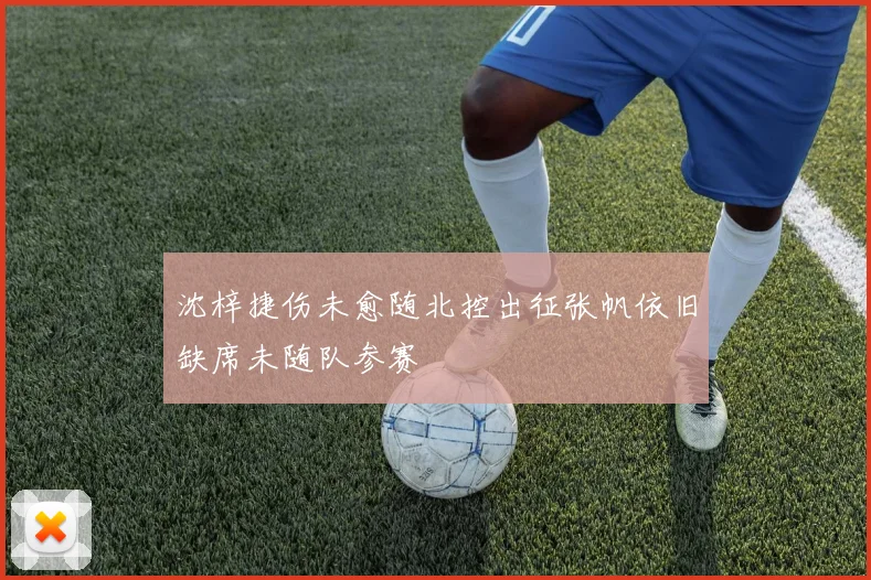 沈梓捷伤未愈随北控出征张帆依旧缺席未随队参赛