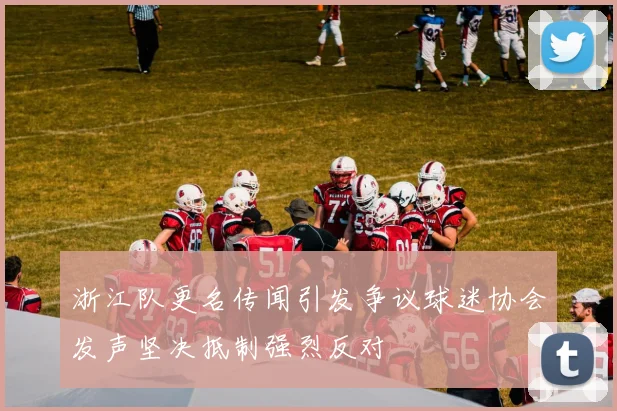浙江队更名传闻引发争议球迷协会发声坚决抵制强烈反对